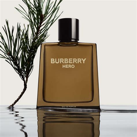 burberry heren parfum douglas|Burberry the hero game.